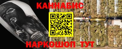 сатива Кимры