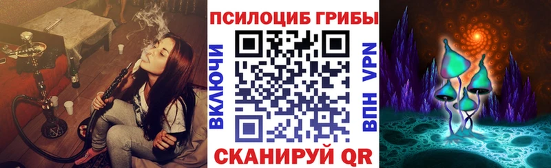 где можно купить   блэк спрут рабочий сайт  сайты даркнета официальный сайт  Нефтеюганск  Псилоцибиновые грибы MAGIC MUSHROOMS 